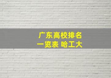 广东高校排名一览表 哈工大